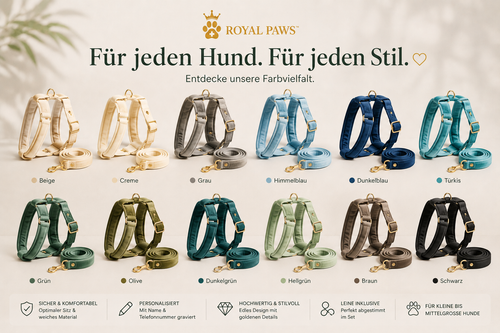 ✨ Royal Paws™ Personalisiertes Samt Hundegeschirr Set mit Leine & Namensgravur