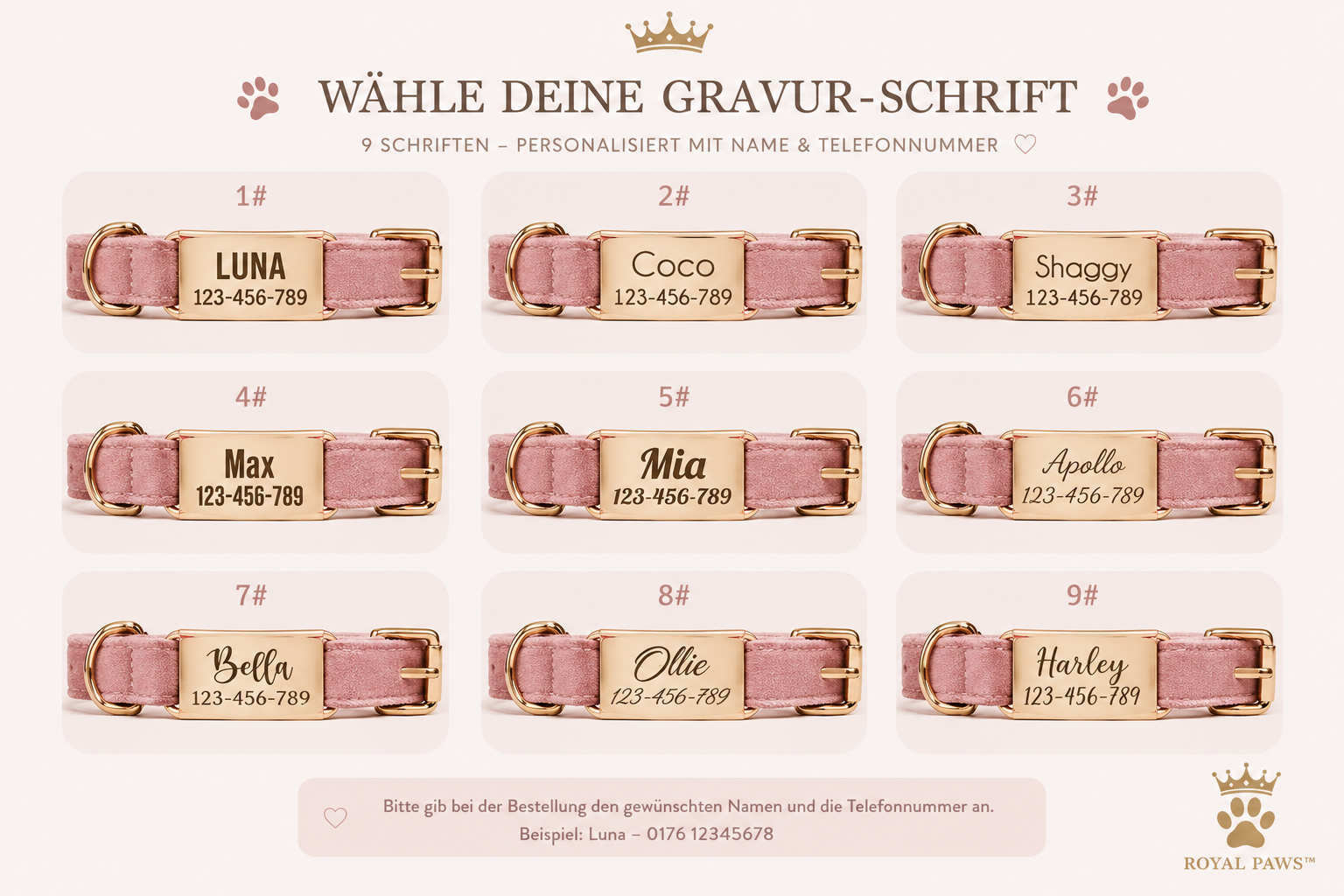 👑 Royal Paws™ Samt-Hundehalsband mit personalisierter Gravur & passender Leine