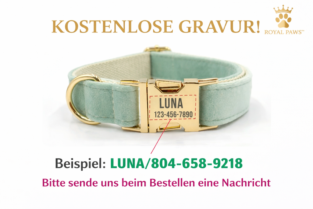 Royal Paws™️ Personalisiertes Hunde-Halsband mit Gratis-Gravur | Premium Qualität