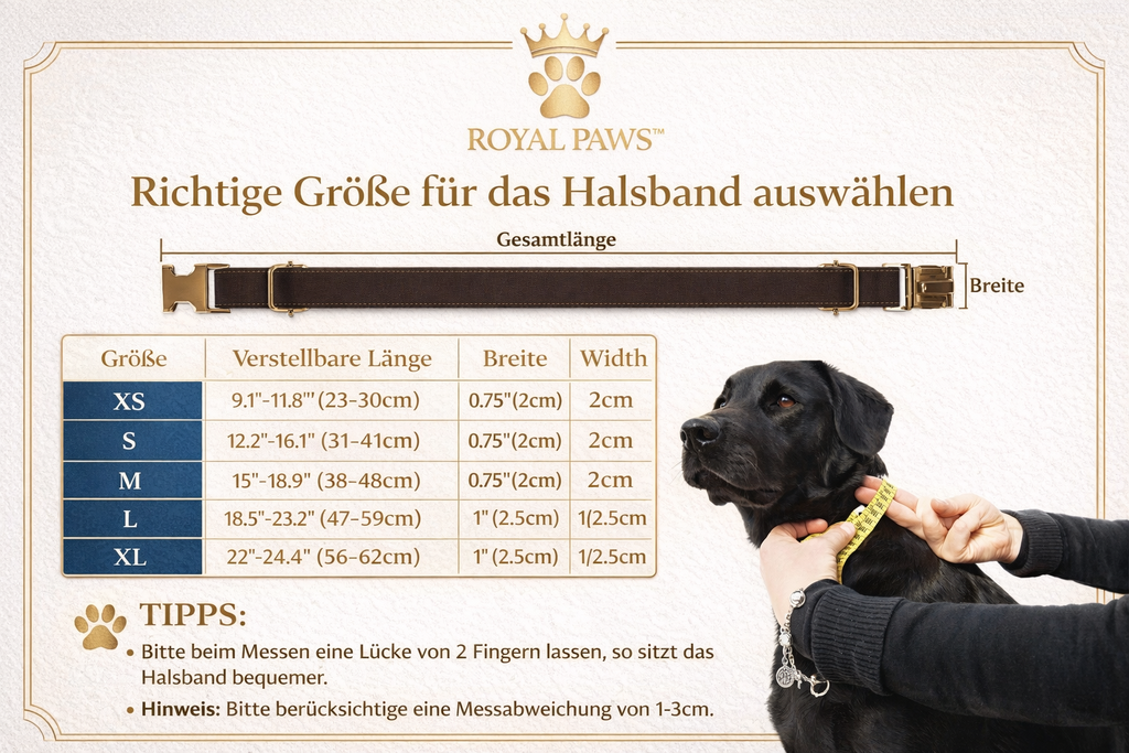 Royal Paws™️ Personalisiertes Hunde-Halsband mit Gratis-Gravur | Premium Qualität