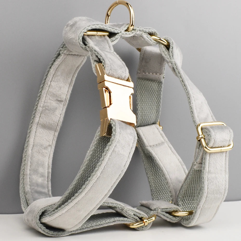 ✨ Royal Paws™ Personalisiertes Samt Hundegeschirr Set mit Leine & Namensgravur