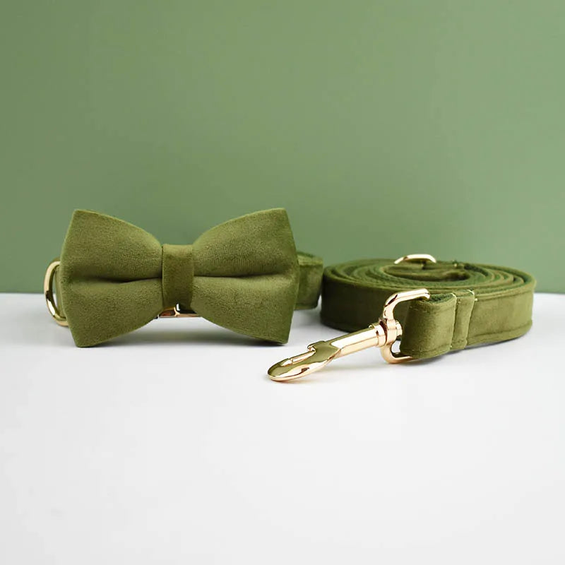 👑 Royal Paws™ Samt-Hundehalsband mit personalisierter Gravur & passender Leine