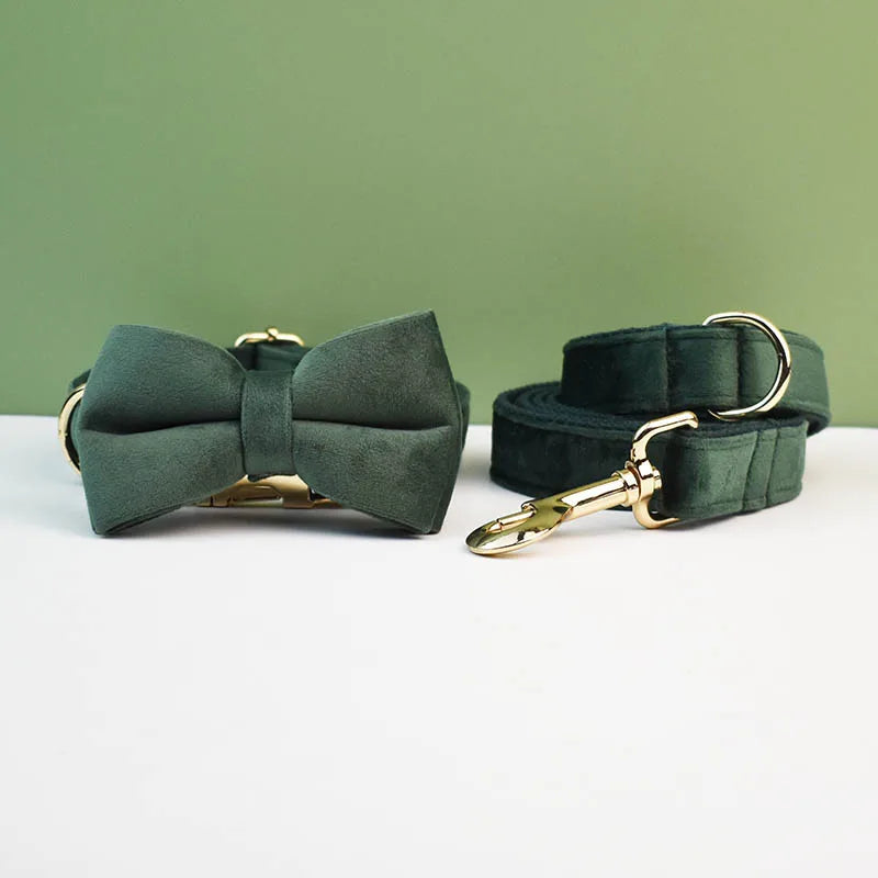 👑 Royal Paws™ Samt-Hundehalsband mit personalisierter Gravur & passender Leine