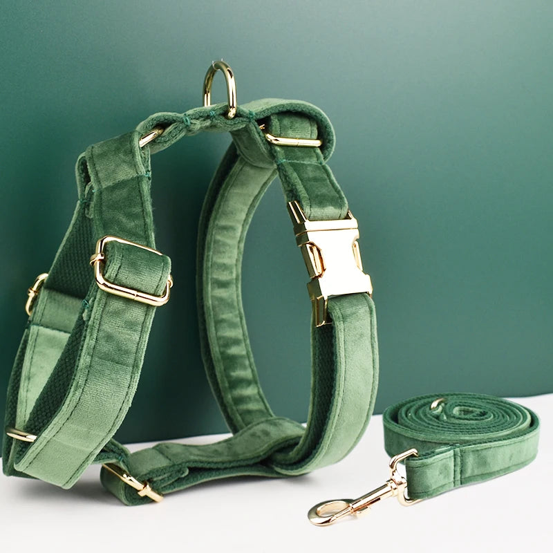 ✨ Royal Paws™ Personalisiertes Samt Hundegeschirr Set mit Leine & Namensgravur