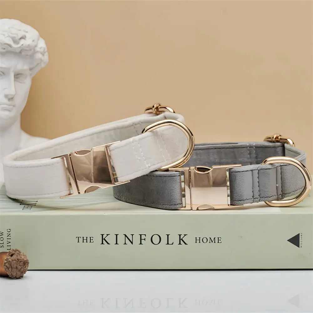 Royal Paws™ Personalisierbares Samt-Halsband & Leinen-Set mit Gravur – Premium Hundehalsband mit Namen