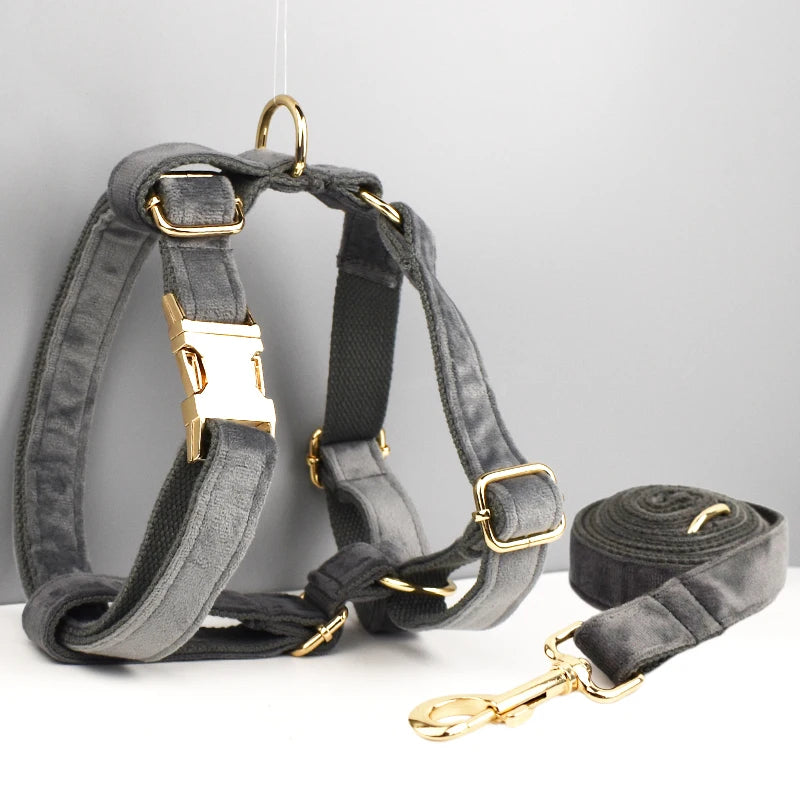 ✨ Royal Paws™ Personalisiertes Samt Hundegeschirr Set mit Leine & Namensgravur