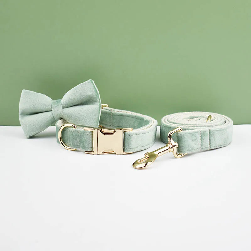 👑 Royal Paws™ Samt-Hundehalsband mit personalisierter Gravur & passender Leine