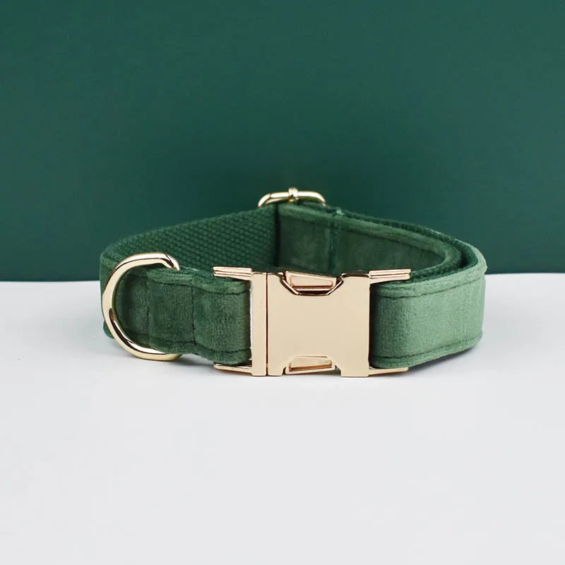 👑 Royal Paws™ Samt-Hundehalsband mit personalisierter Gravur & passender Leine