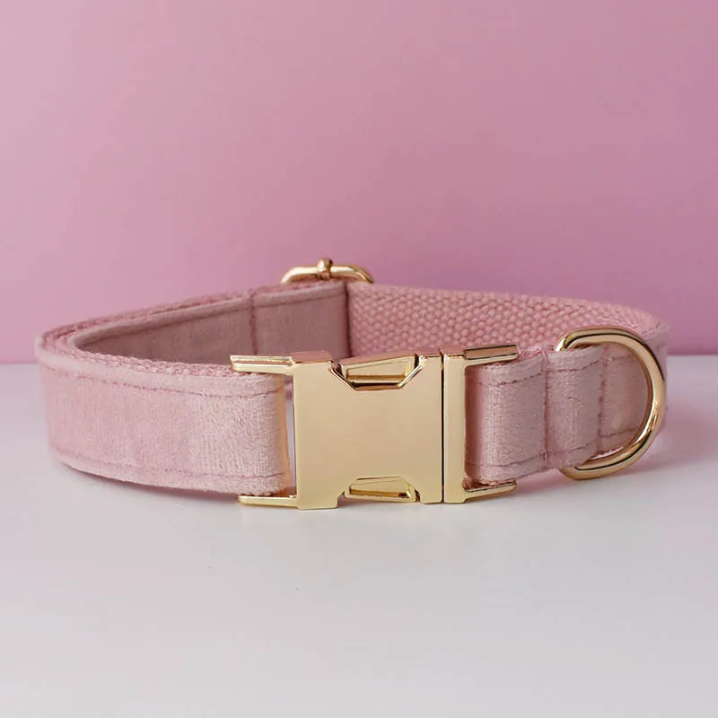 👑 Royal Paws™ Samt-Hundehalsband mit personalisierter Gravur & passender Leine