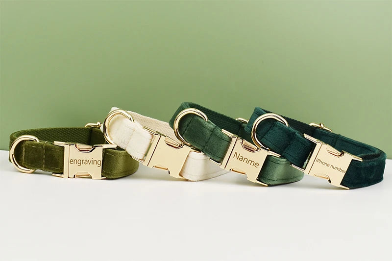 👑 Royal Paws™ Samt-Hundehalsband mit personalisierter Gravur & passender Leine