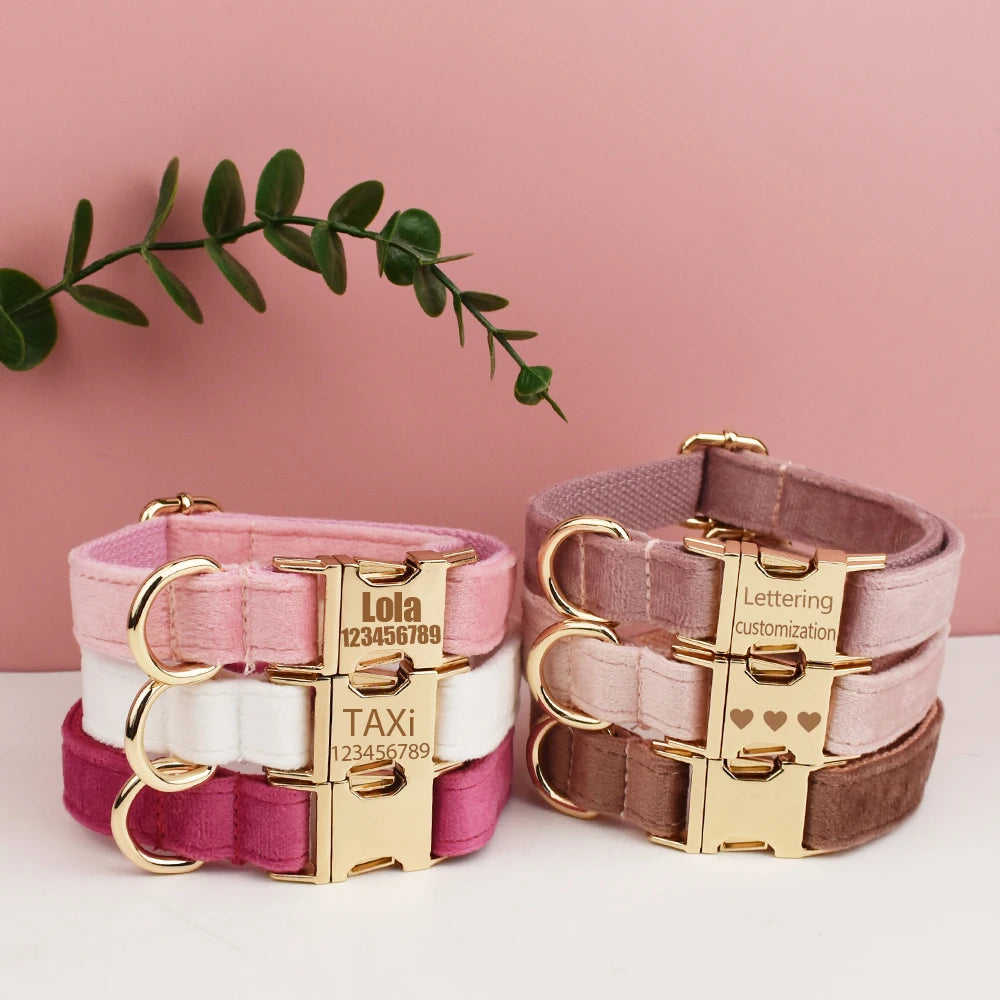 Royal Paws™️ Personalisiertes Hunde-Halsband mit Gratis-Gravur | Premium Qualität