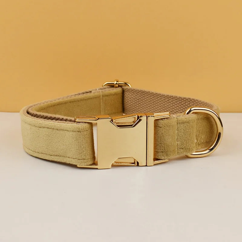 👑 Royal Paws™ Samt-Hundehalsband mit personalisierter Gravur & passender Leine