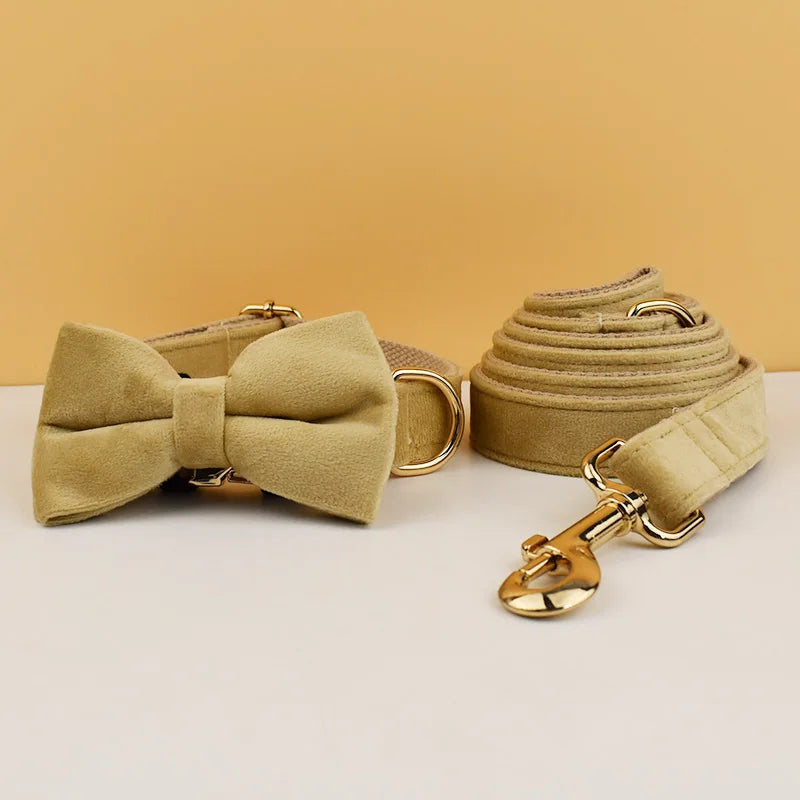 👑 Royal Paws™ Samt-Hundehalsband mit personalisierter Gravur & passender Leine