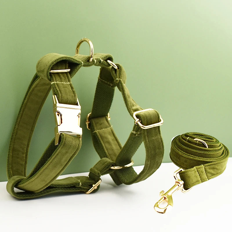 ✨ Royal Paws™ Personalisiertes Samt Hundegeschirr Set mit Leine & Namensgravur
