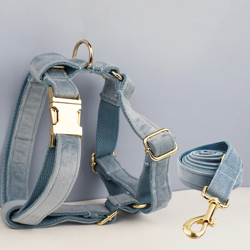 ✨ Royal Paws™ Personalisiertes Samt Hundegeschirr Set mit Leine & Namensgravur