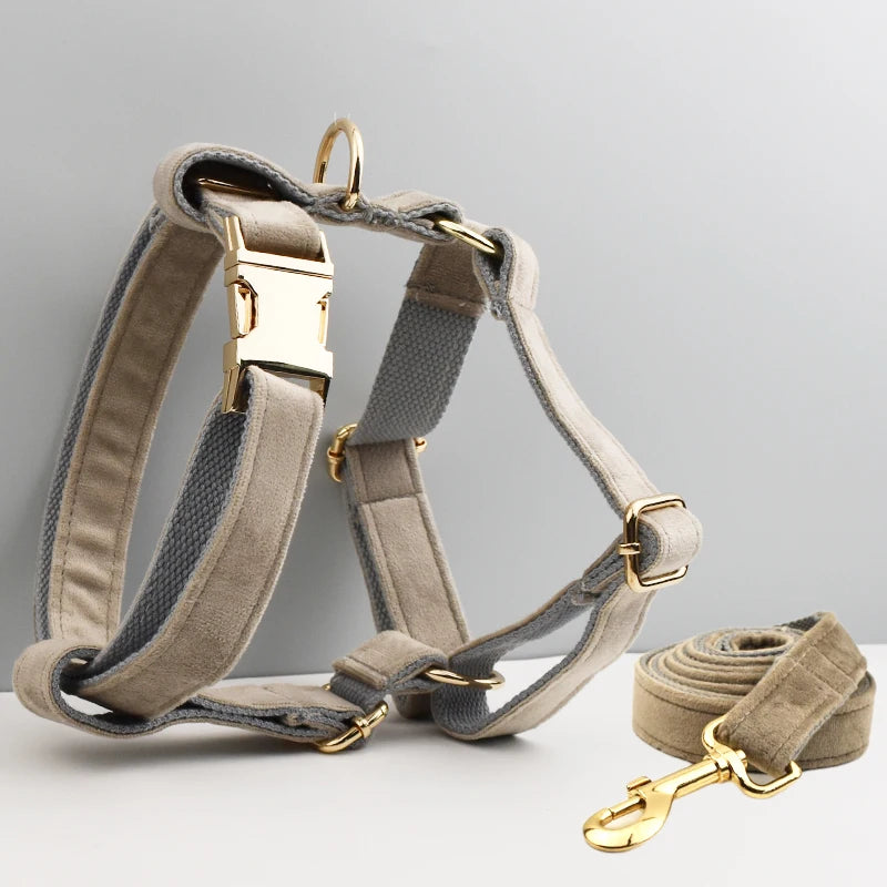 ✨ Royal Paws™ Personalisiertes Samt Hundegeschirr Set mit Leine & Namensgravur
