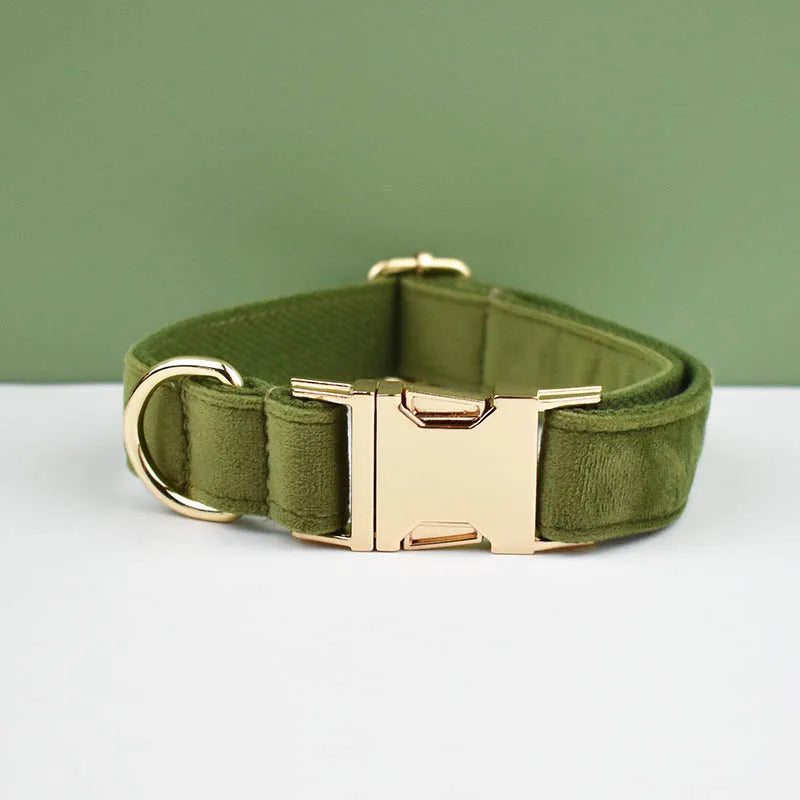 👑 Royal Paws™ Samt-Hundehalsband mit personalisierter Gravur & passender Leine
