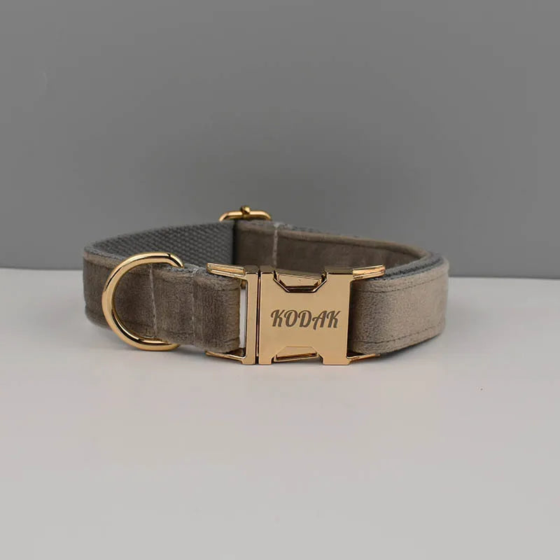 👑 Royal Paws™ Samt-Hundehalsband mit personalisierter Gravur & passender Leine