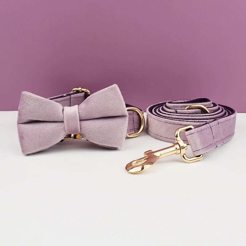 👑 Royal Paws™ Samt-Hundehalsband mit personalisierter Gravur & passender Leine