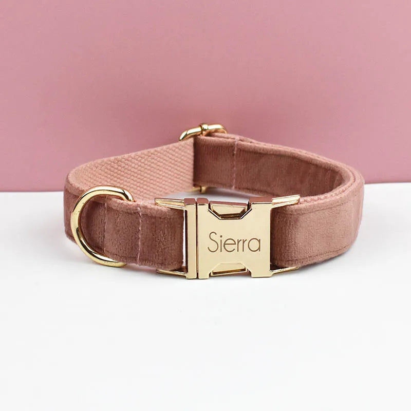 👑 Royal Paws™ Samt-Hundehalsband mit personalisierter Gravur & passender Leine