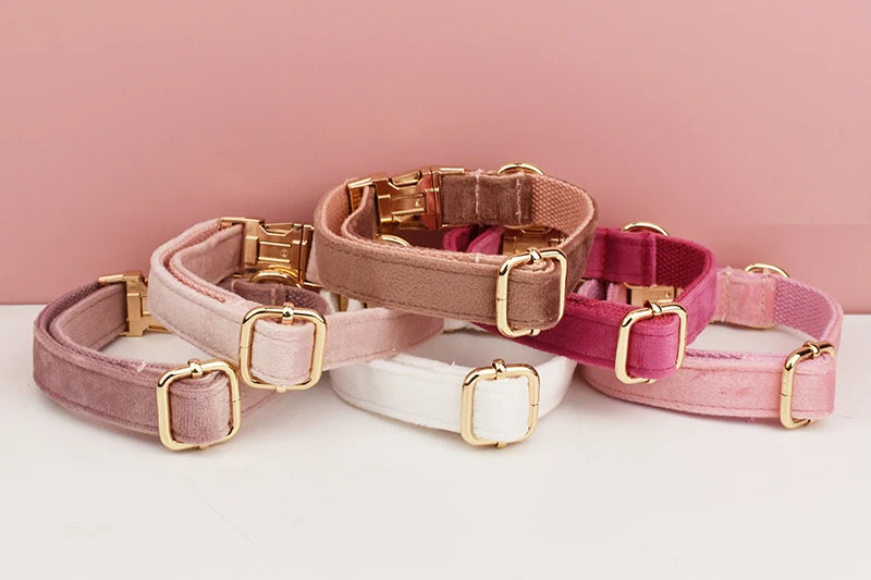 👑 Royal Paws™ Samt-Hundehalsband mit personalisierter Gravur & passender Leine