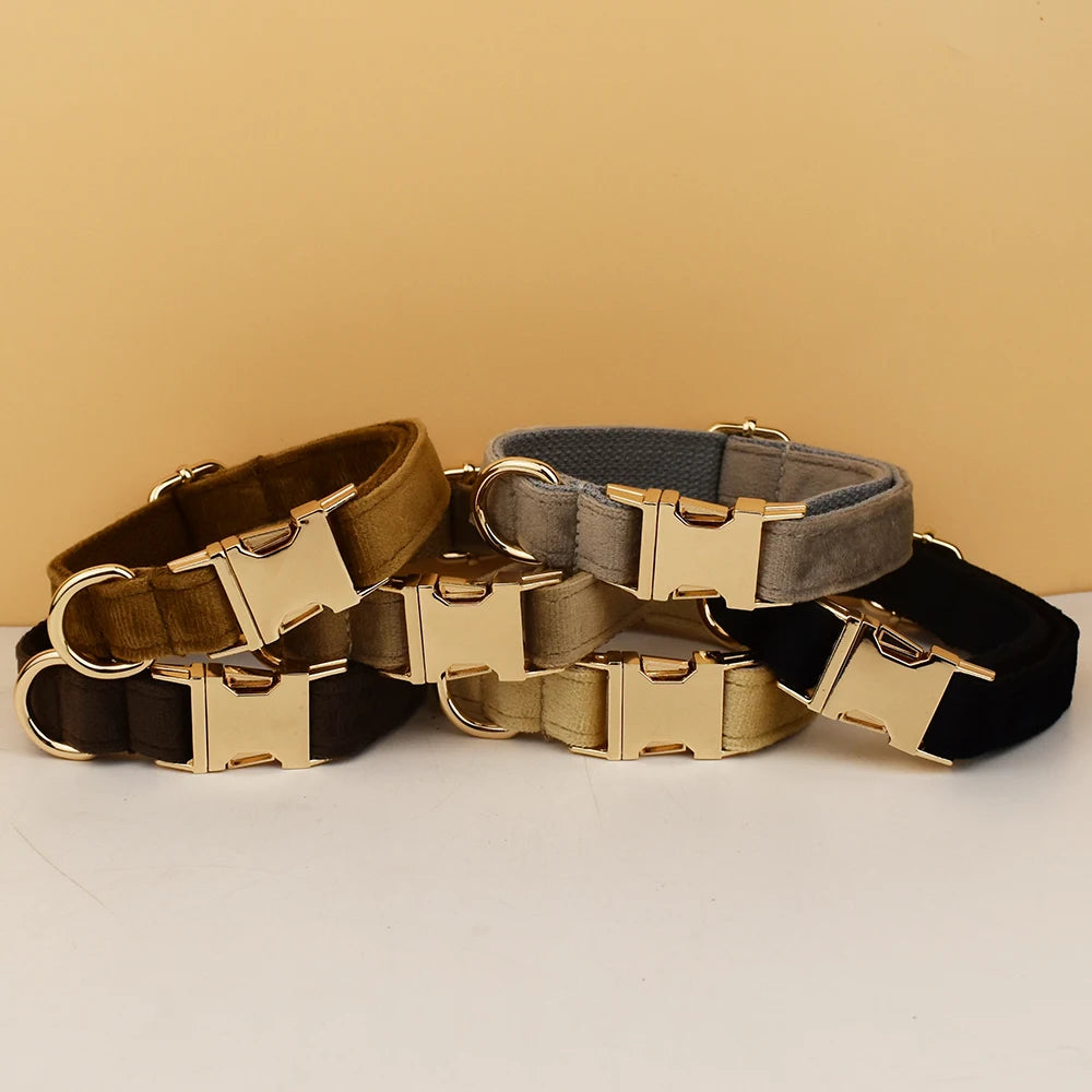 👑 Royal Paws™ Samt-Hundehalsband mit personalisierter Gravur & passender Leine
