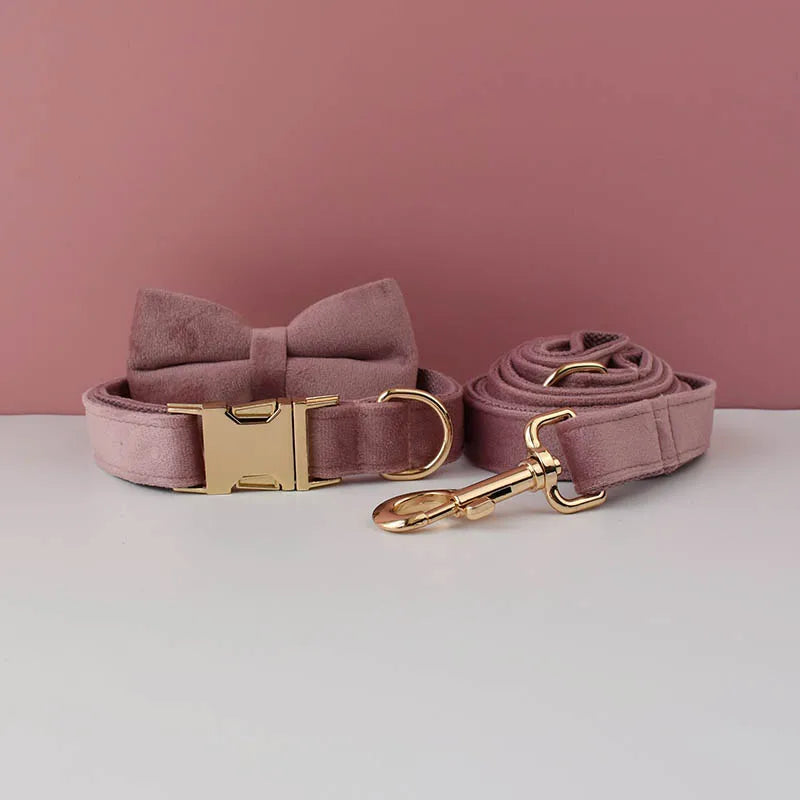 👑 Royal Paws™ Samt-Hundehalsband mit personalisierter Gravur & passender Leine