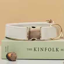 Royal Paws™ Personalisierbares Samt-Halsband & Leinen-Set mit Gravur – Premium Hundehalsband mit Namen