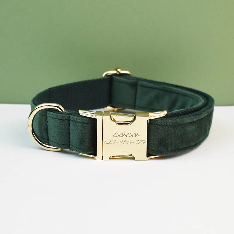 👑 Royal Paws™ Samt-Hundehalsband mit personalisierter Gravur & passender Leine