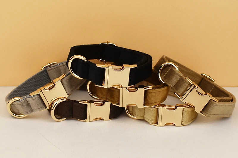 👑 Royal Paws™ Samt-Hundehalsband mit personalisierter Gravur & passender Leine