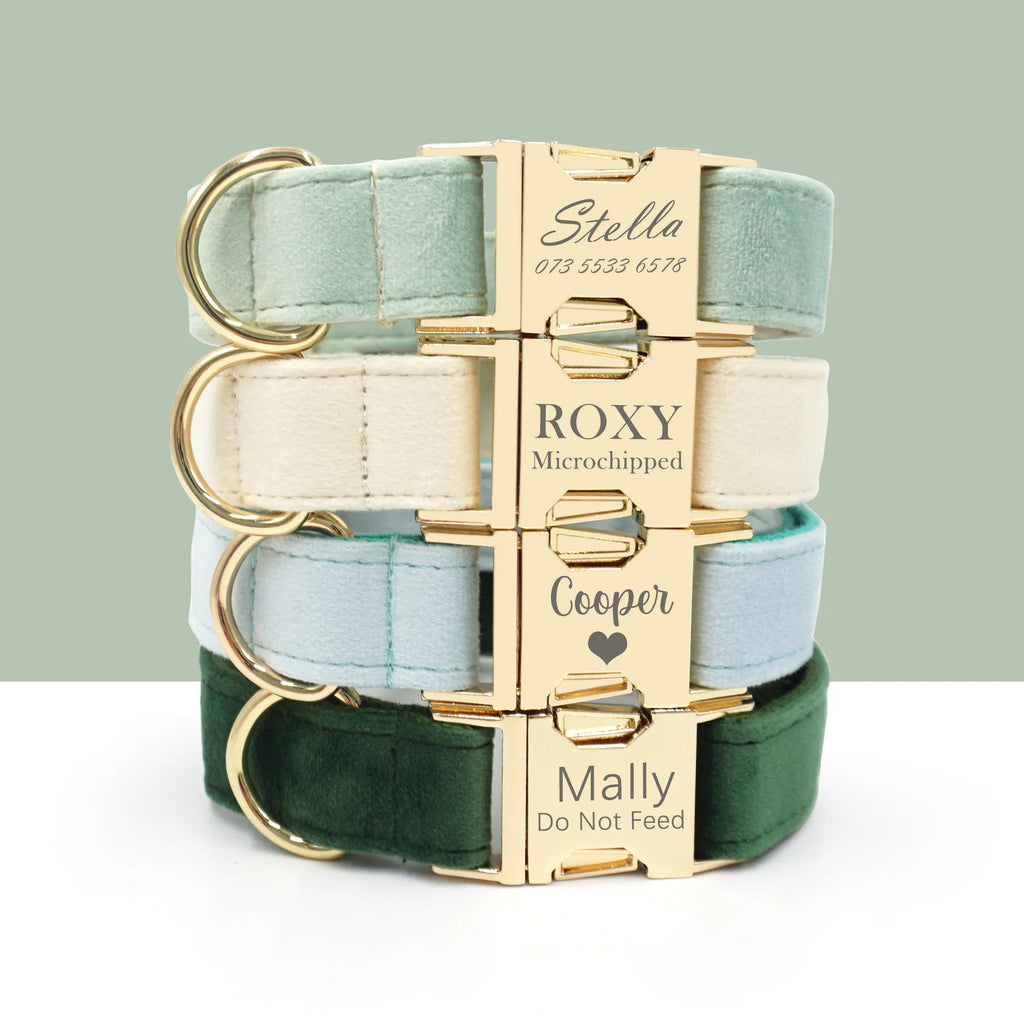 Royal Paws™️ Personalisiertes Hunde-Halsband mit Gratis-Gravur | Premium Qualität