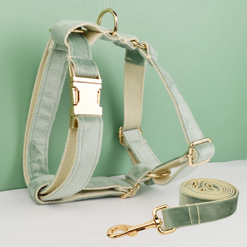 ✨ Royal Paws™ Personalisiertes Samt Hundegeschirr Set mit Leine & Namensgravur