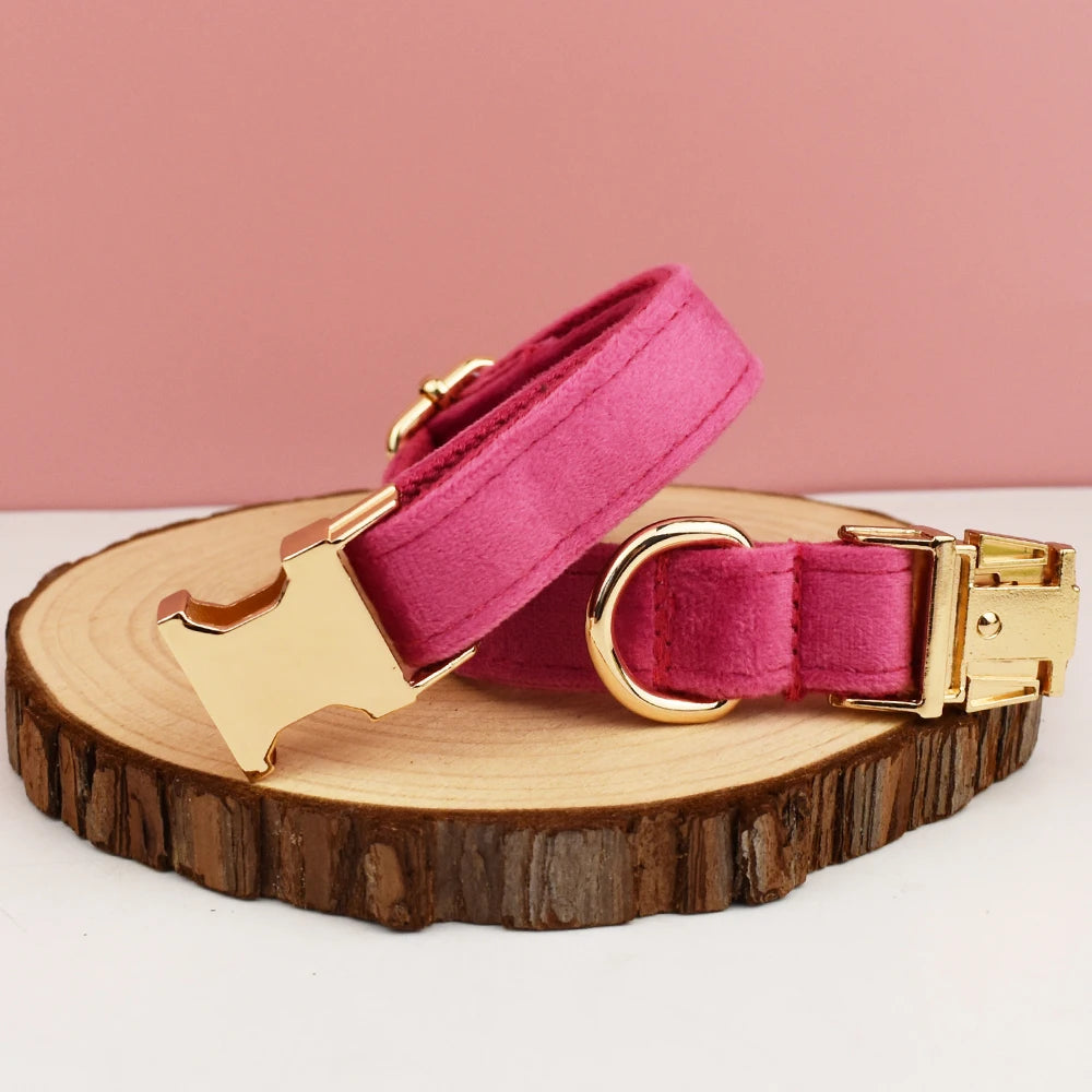 Royal Paws™️ Personalisiertes Hunde-Halsband mit Gratis-Gravur | Premium Qualität