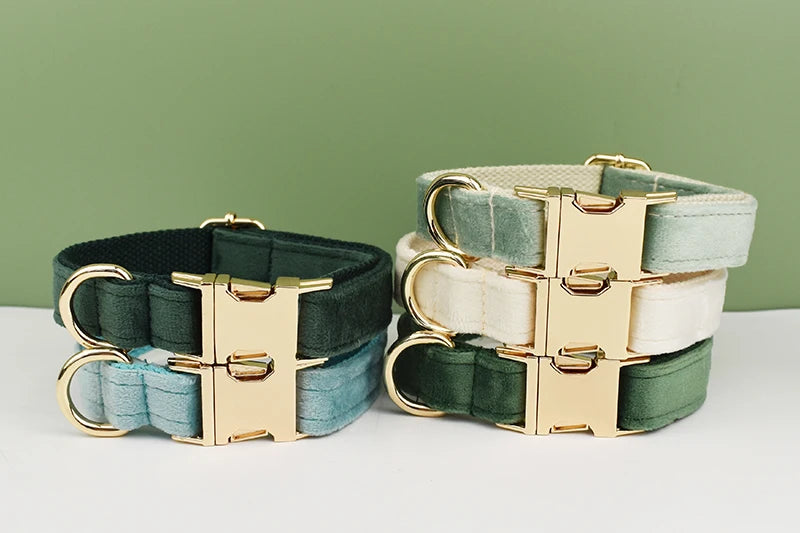 👑 Royal Paws™ Samt-Hundehalsband mit personalisierter Gravur & passender Leine