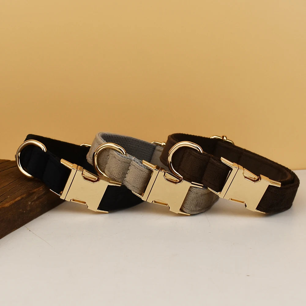 👑 Royal Paws™ Samt-Hundehalsband mit personalisierter Gravur & passender Leine