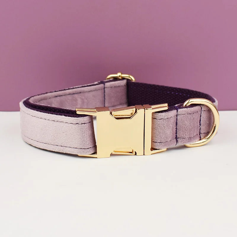👑 Royal Paws™ Samt-Hundehalsband mit personalisierter Gravur & passender Leine