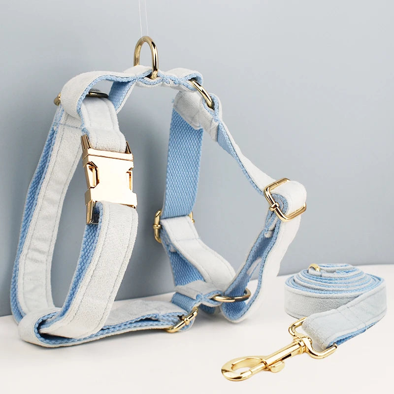 ✨ Royal Paws™ Personalisiertes Samt Hundegeschirr Set mit Leine & Namensgravur
