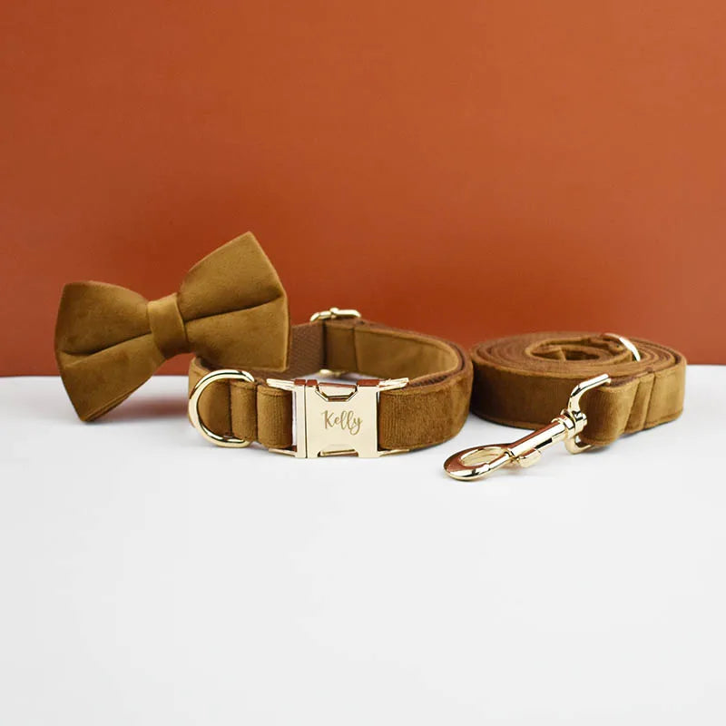 👑 Royal Paws™ Samt-Hundehalsband mit personalisierter Gravur & passender Leine